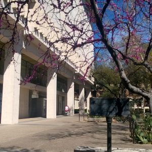 Beautiful January sunshine on the campus of the University of Texas at Austin
